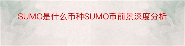 SUMO是什么币种SUMO币前景深度分析