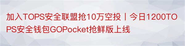 加入TOPS安全联盟抢10万空投丨今日1200TOPS安全钱包GOPocket抢鲜版上线