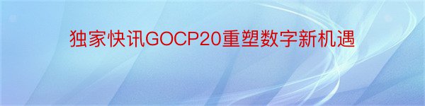 独家快讯GOCP20重塑数字新机遇